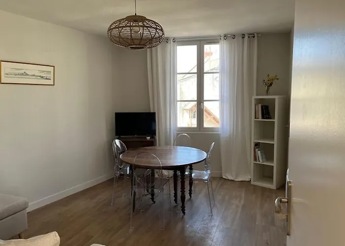 Les Marronniers Appartement Centre Saumur Bord De Loire